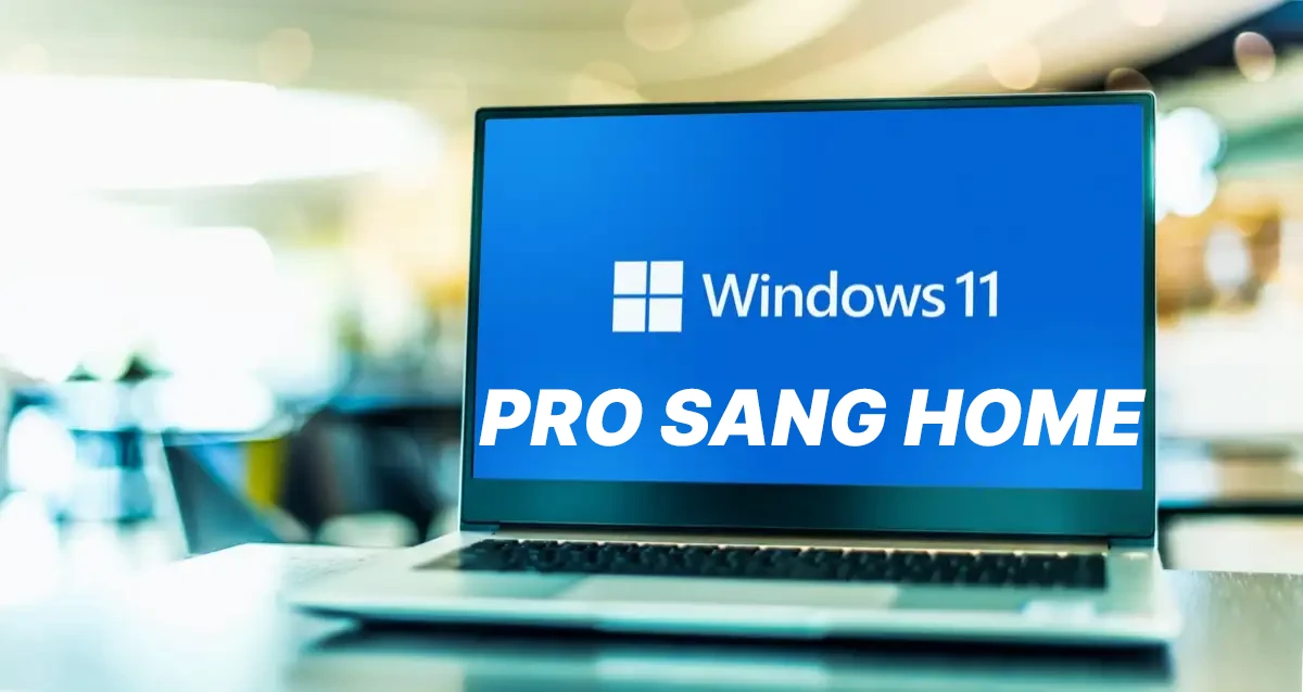 Hạ Win 11 Pro Xuống Win 11 Home Miễn Phí Không Mất Dữ Liệu